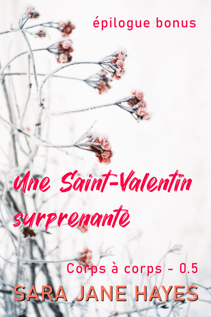 Une Saint-Valentin surprenante, épilogue bonus du préquel "Ce Noël, je t’offre mon cœur"